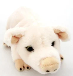 Nicotoy-Schwein